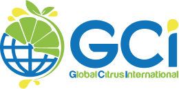 Group