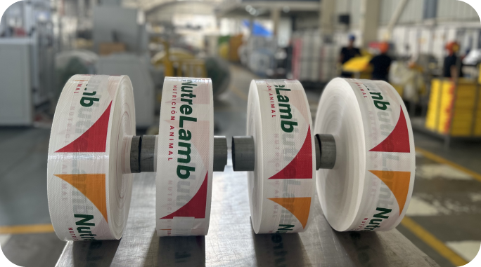 LAMINADOS 3